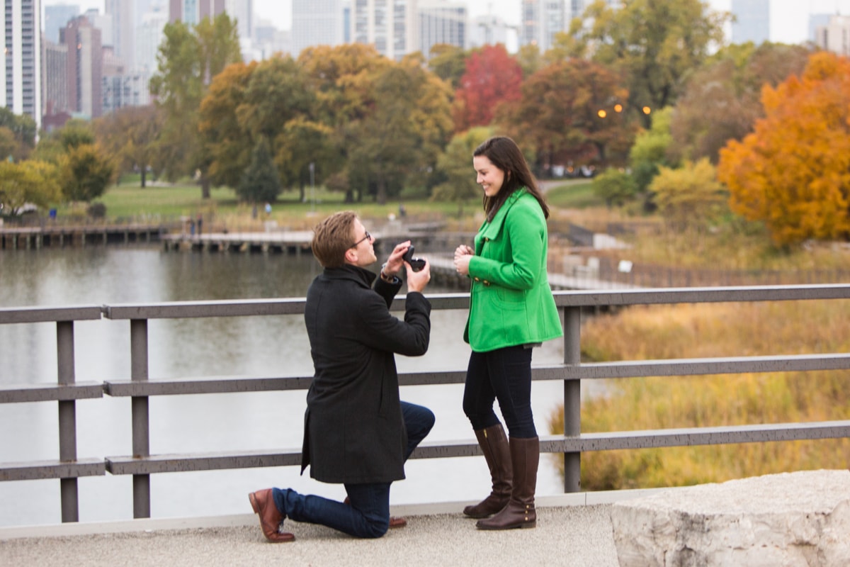 Real life wedding proposal at Lincoln Park Zoo